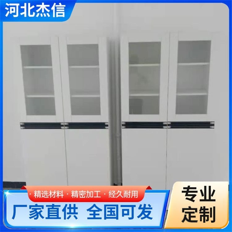 独立全木试剂柜 柜台陈列柜 化学危化品柜 款式齐全 长期供应