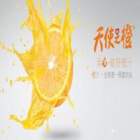 天使之橙鲜榨果汁机