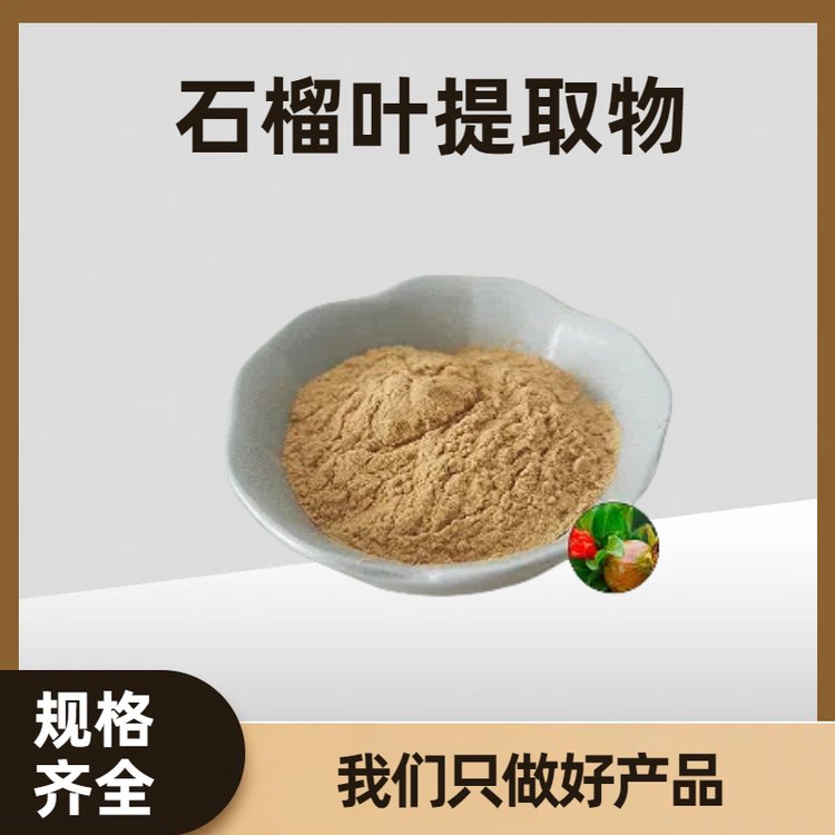 石榴叶提取物10:1 石榴叶粉 食品级专业植提 多规格可定制 水溶性好