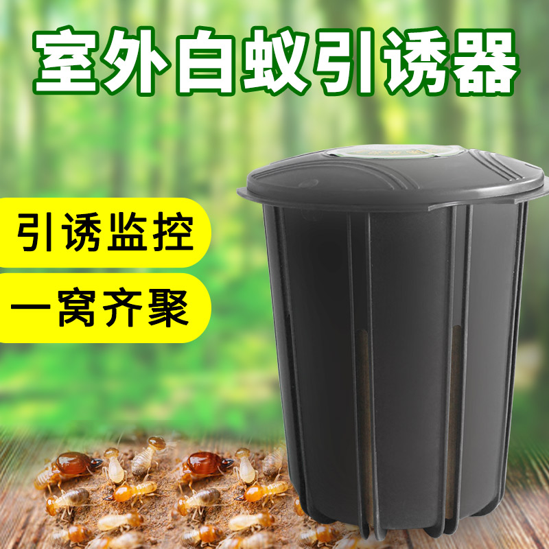 室外白蚁诱杀箱地下大号 白蚁防治中心家庭灭蚁白蚁药水