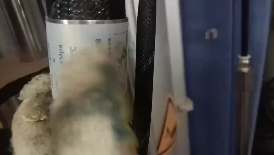 视频