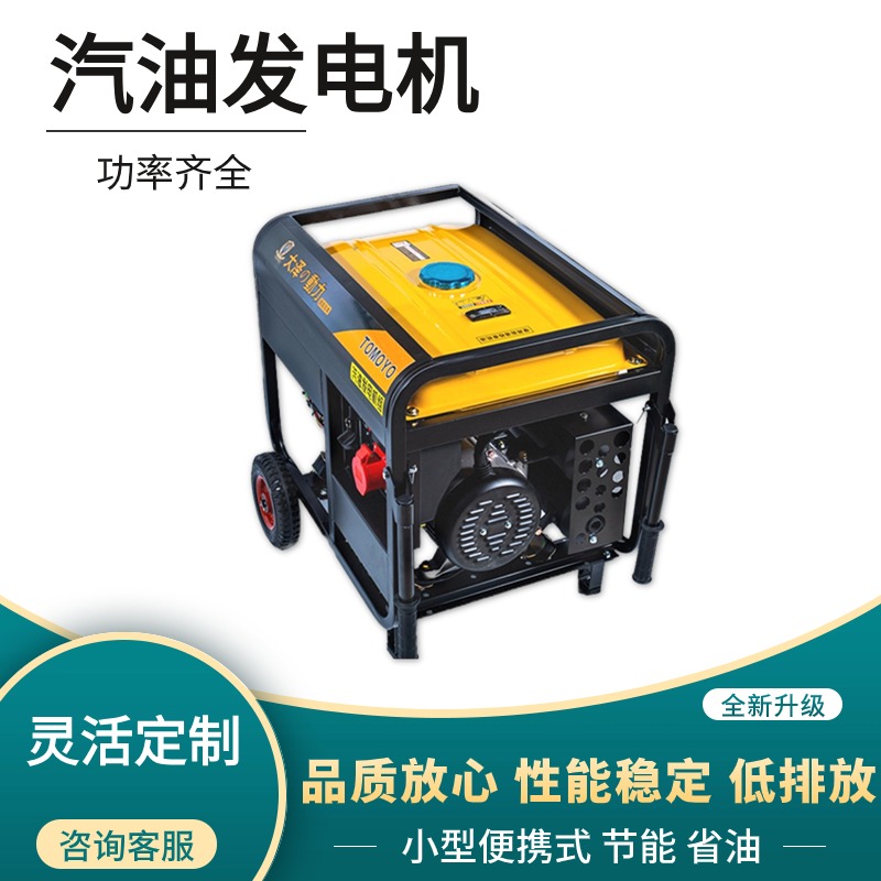 大泽动力15KW汽油发电机 双缸 便携式 电压稳定 投标 应急 户外 车载