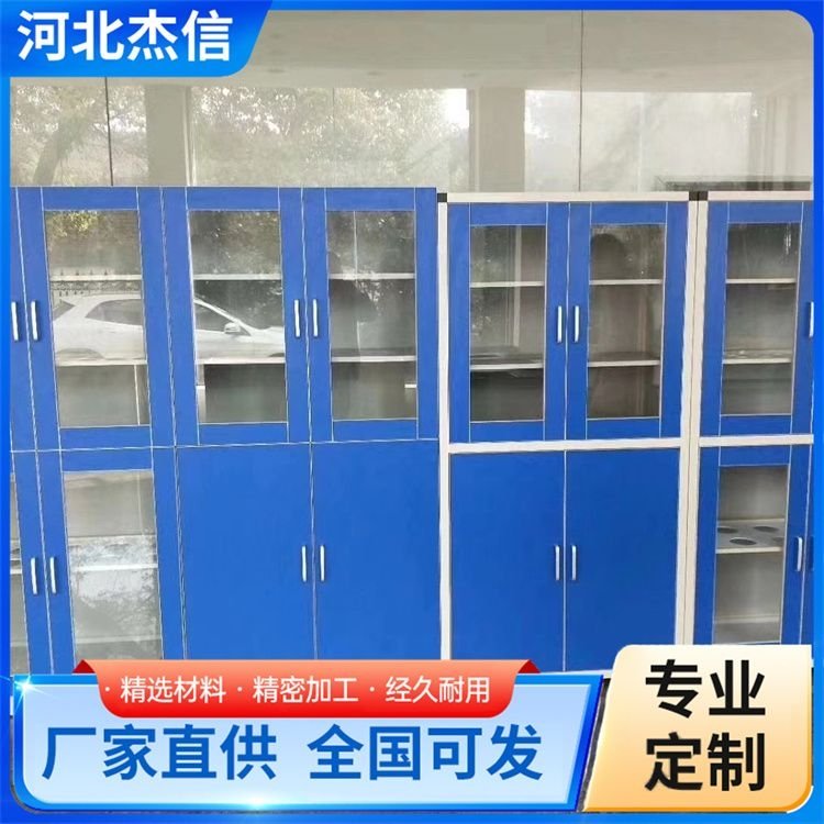 设计全木试剂柜 化学样品危化品柜 耐腐蚀 现货出售 品优定制