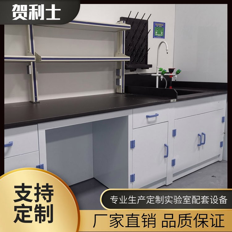 钢木全钢实验台 边台PP通风柜 全木试验台 中央水槽台 理化板面