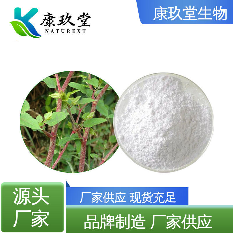 白色粉末 资质齐全 生产厂家 虎杖提取物 康玖堂