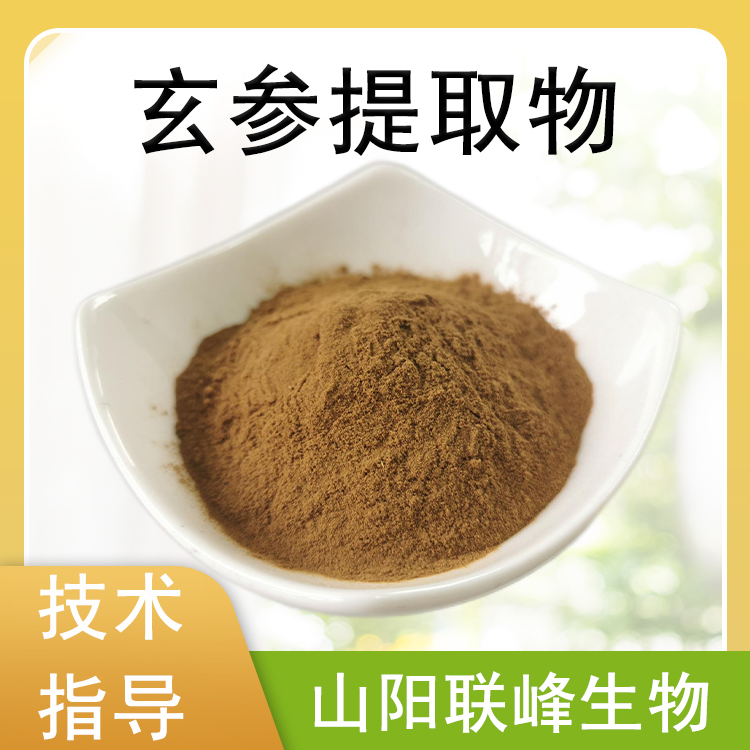 玄参提取物 玄参甙 10：1水溶浓缩粉 玄参粉 萃取原料 1公斤起订