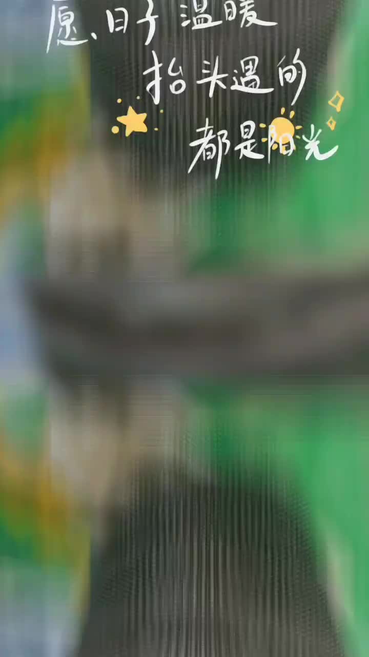 视频
