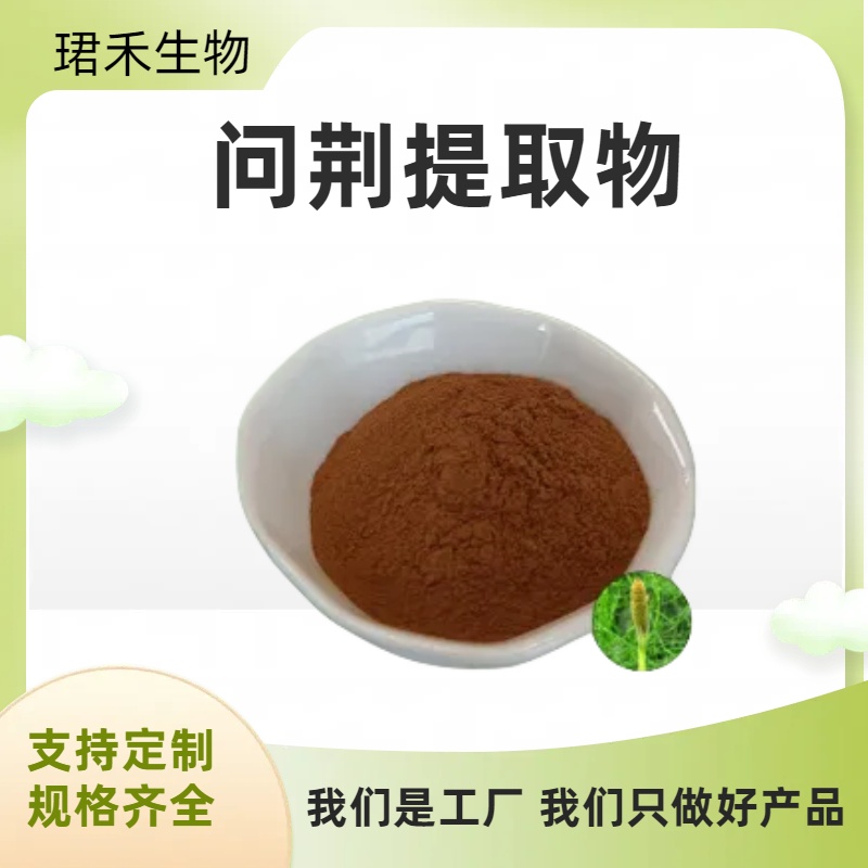 水溶问荆粉 节节草提取物/浓缩粉 食品原料 连续草浸膏 多规格可定制