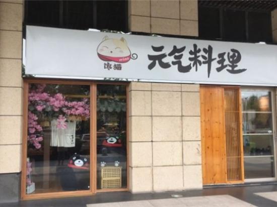 馋猫元气料理