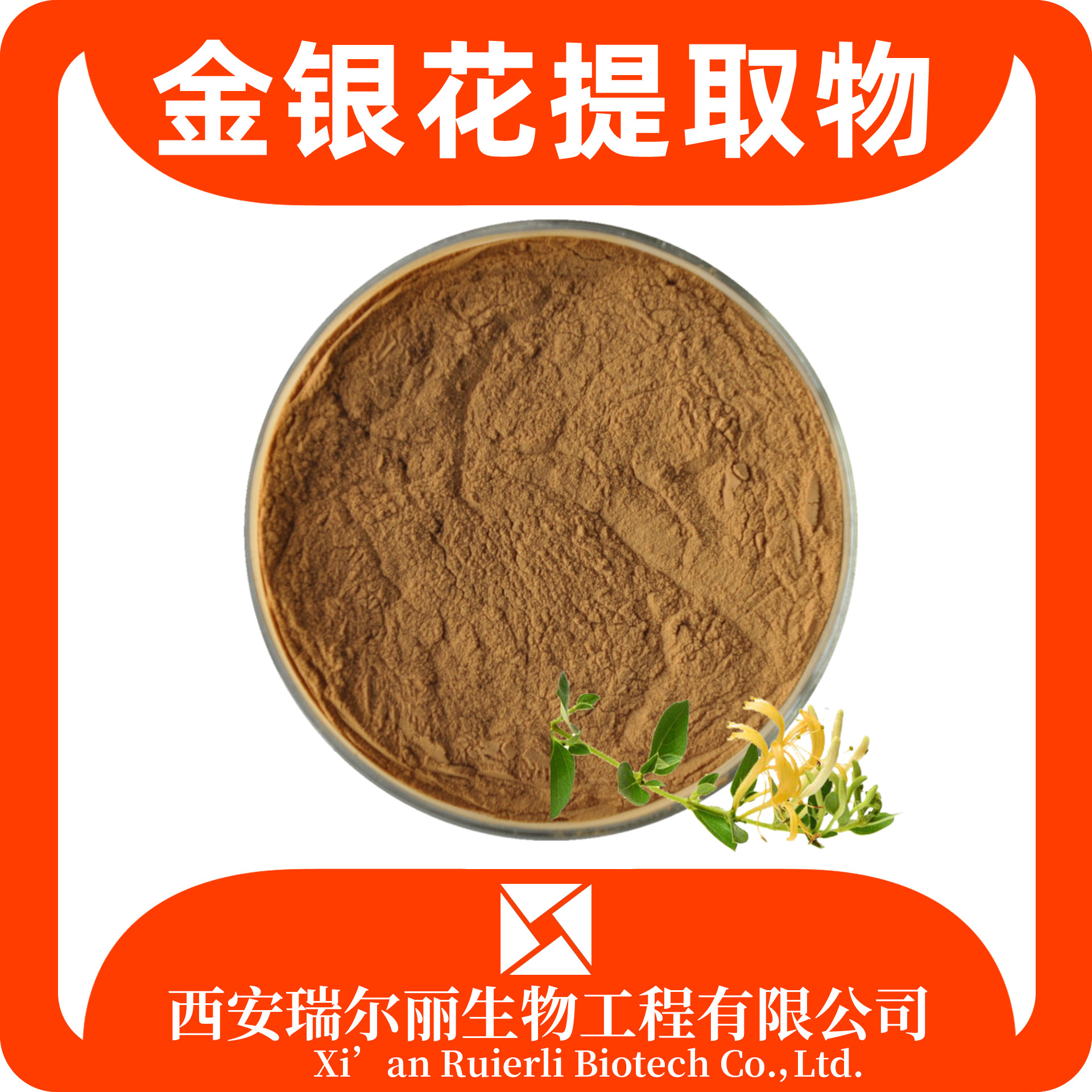金银花提取物 水溶金银花粉 绿原酸 浓缩粉 SC证 浸膏 瑞尔丽生物