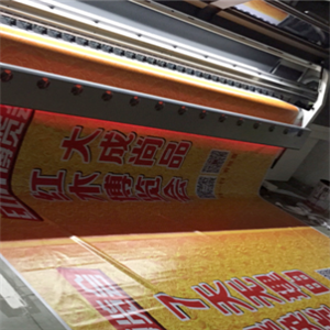 爱丽色