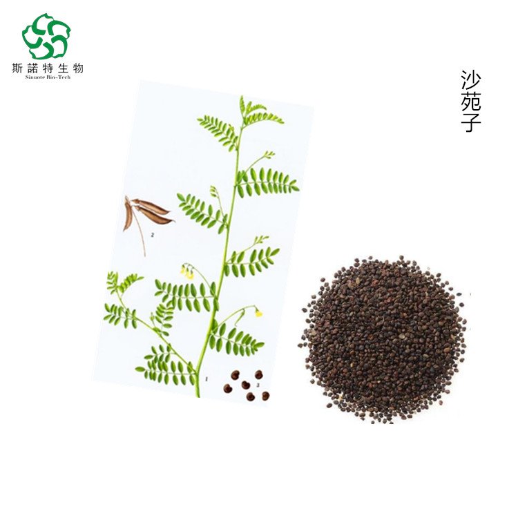 沙苑子浸膏 种子浓缩 滋方膏方原料 常年供应 提取物