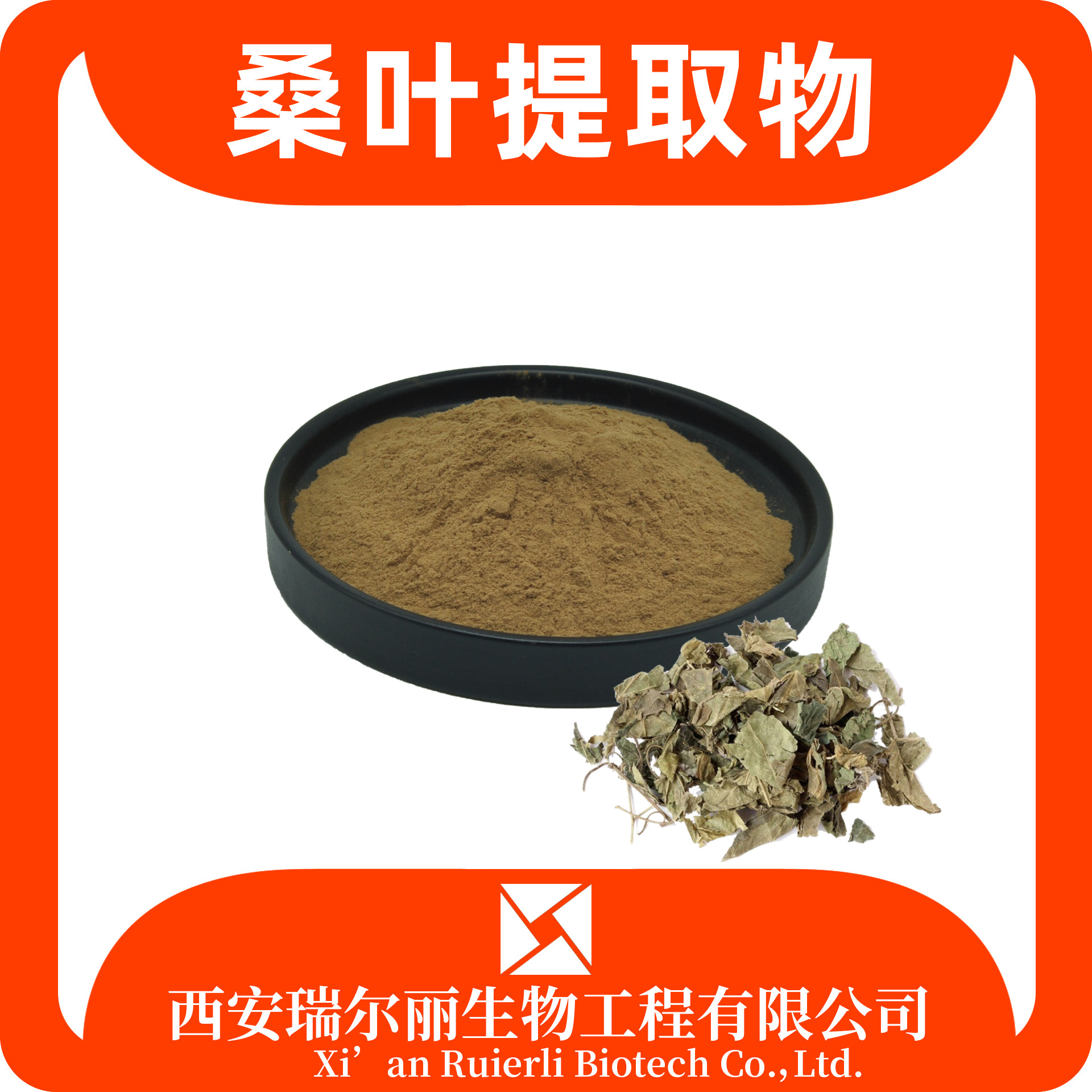 桑叶提取物 桑叶粉 桑叶黄酮/多糖 桑叶浸膏 药食同源 瑞尔丽生物