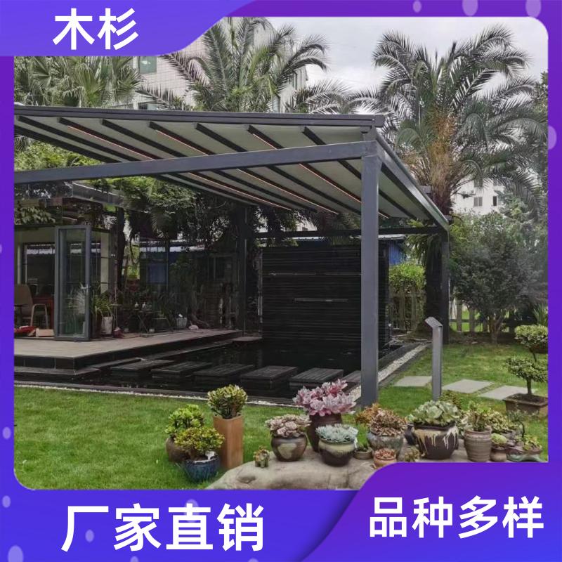 木杉 商用智能 电动折叠天幕 专业承接 安装简便速度快