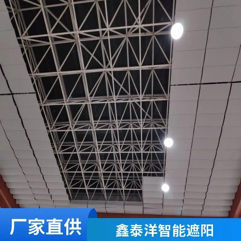 阳光房遮阳帘 采光顶电动天幕帘 天棚帘定制厂家 鑫泰洋