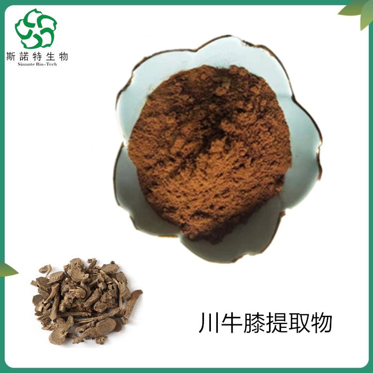 斯诺特 川牛膝提取物 精细粉末 植物萃取 库存充足 包邮