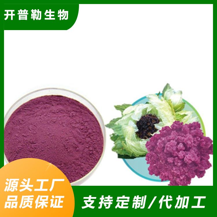 雪莲提取物 真空干燥 可溶于水 粉末细腻 库存充足