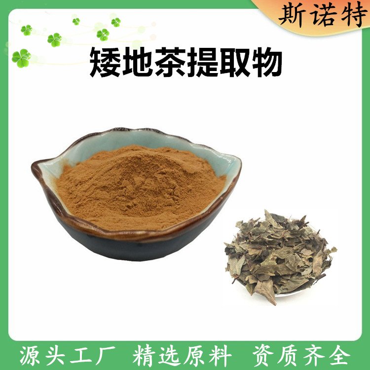 斯诺特 矮地茶提取物 水溶性好 品质稳定 规格多种