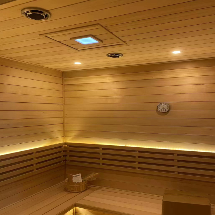 建造家用小型桑拿房 承建5-10平方洗浴采耳足道汗蒸房 天道厂家安装