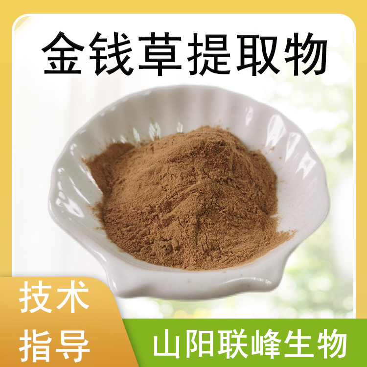 金钱草提取物 10：1浓缩粉 金钱草粉 喷雾干燥 1公斤起订