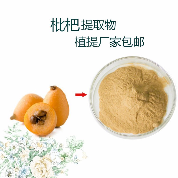 枇杷提取物 浓缩萃取 溶解性好 另有果粉供应 三方报告