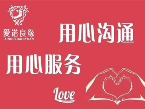 爱诺良缘