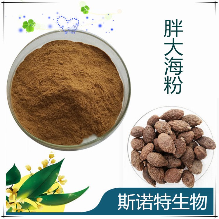 水溶性胖大海粉 喷雾干燥工艺 流动性好 可压片制粒