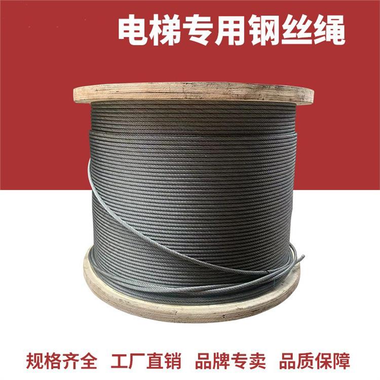 曳引家用别墅电梯 厂家定制龙门架 钢丝绳 钢带垂直梯