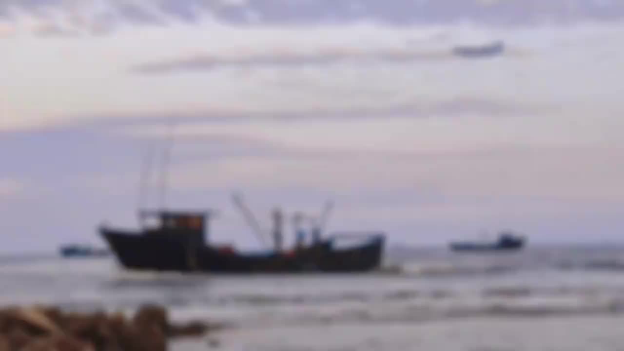视频