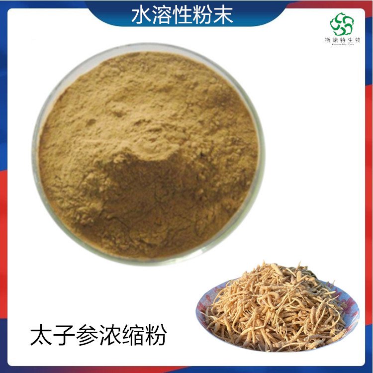 斯诺特 太子参浓缩粉 孩儿参 精细粉末 植物萃取