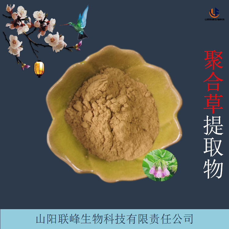 聚合草提取物 友谊草/肥羊草浓缩粉 棕黄色粉末 1kg装