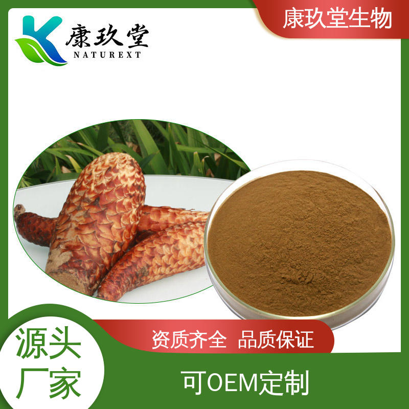 康玖堂 肉苁蓉提取物 棕红色粉末 资质齐全 Cistanche Extract