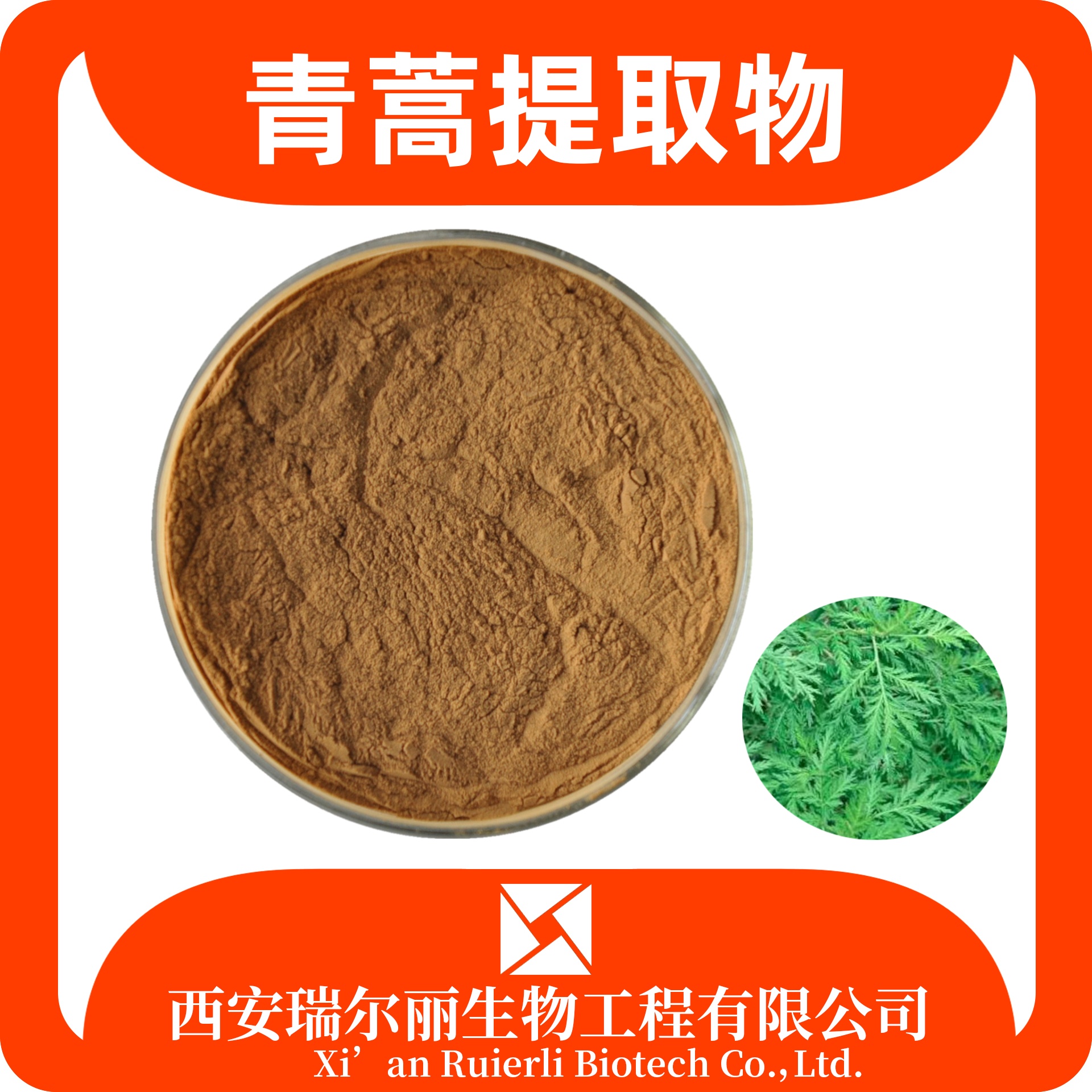 青蒿提取物10:1 水溶青蒿粉 速溶浓缩粉 高比例萃取 SC证瑞尔丽生物