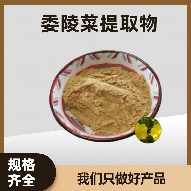 委陵菜提取物 浓缩萃取 水溶委陵菜粉 食品级原料 规格齐全