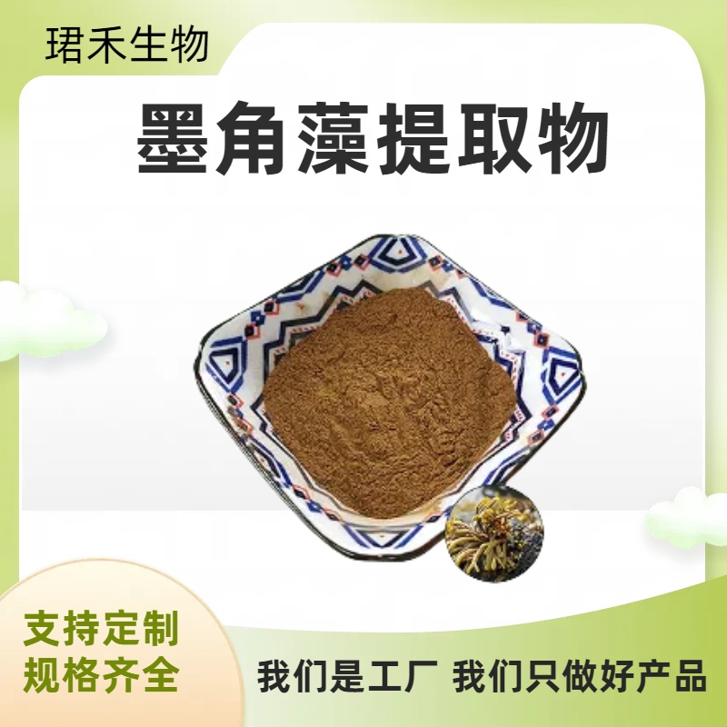 墨角藻提取物10:1 水溶浓缩墨角藻粉 墨角藻多糖 可定制规格