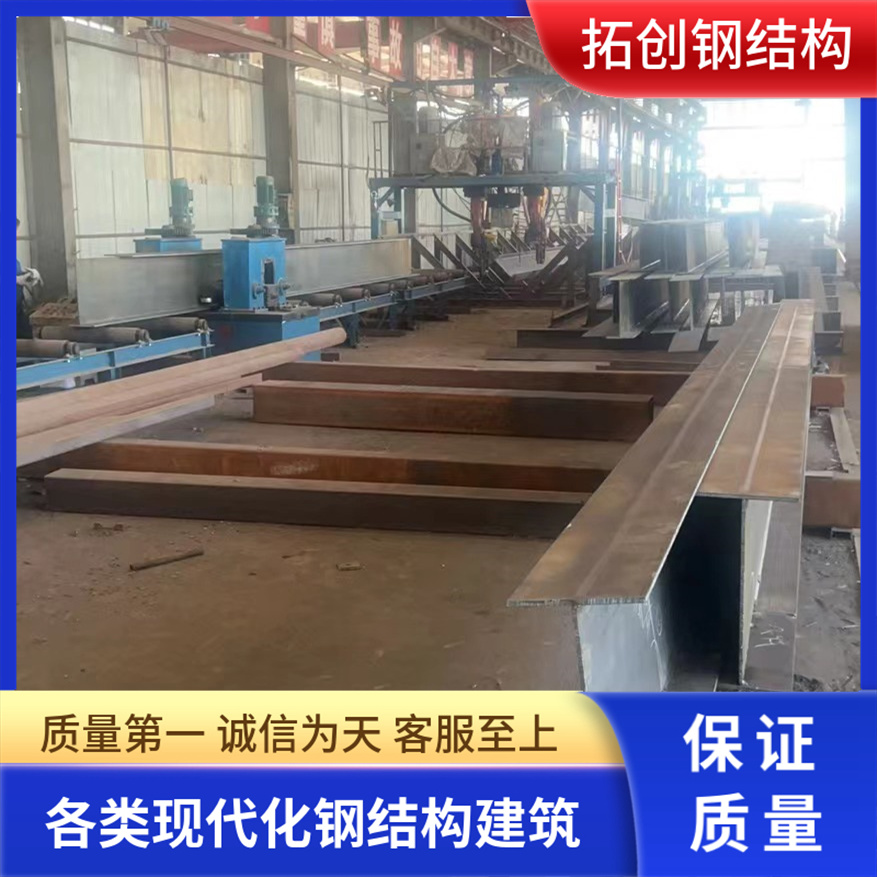 钢结构厂房 网架加工 拓创专业设计定制施工大型工厂