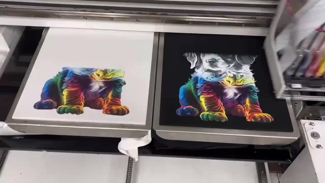 视频