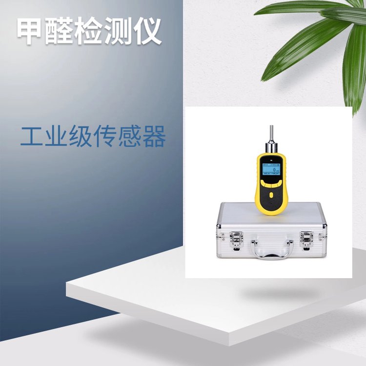 HV1600-CH2O泵吸式环境甲醛气体检测仪工业级传感器