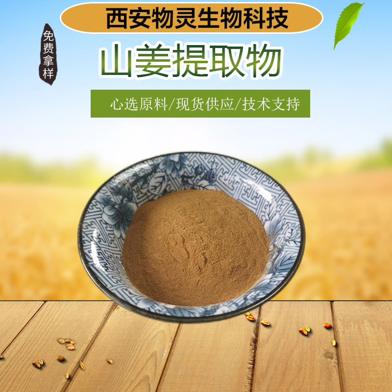 山姜提取物 水溶浓缩粉 食品级原料 植物萃取 多种规格 喷雾干燥