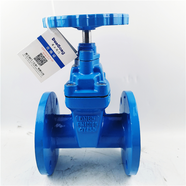 盾工Z45X-16Q球墨铸铁法兰弹性座封闸阀暗杆软密封消防自来水阀门