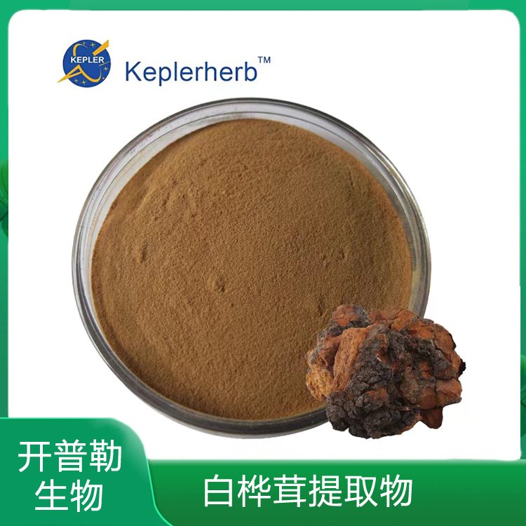 水溶性桦树茸粉 白桦茸提取物 白桦茸多糖30% 开普勒定制