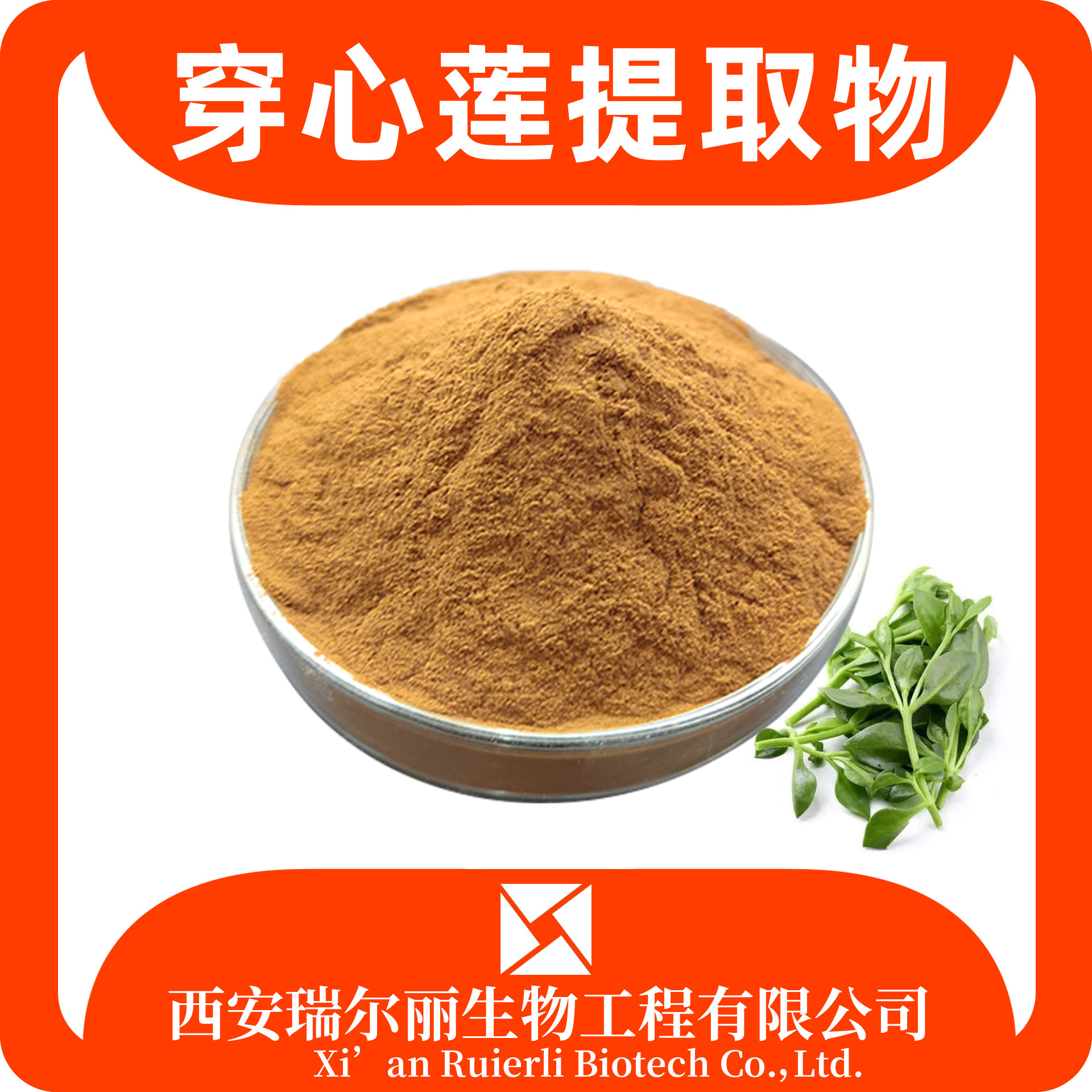 穿心莲提取物10：1 穿心莲粉 穿心莲浸膏 sc证 比例可定制 源头工厂