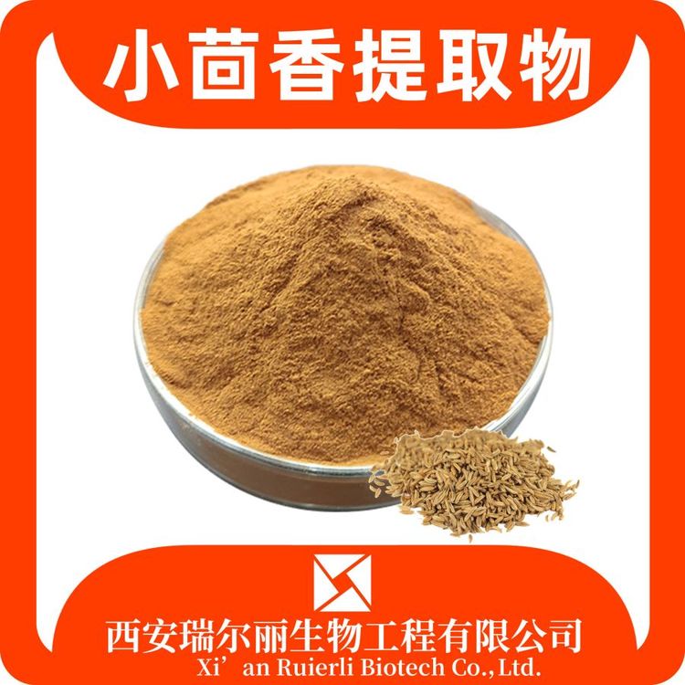 小茴香提取物 速溶小茴香粉 小茴香浓缩浸膏 药食同源 瑞尔丽生物