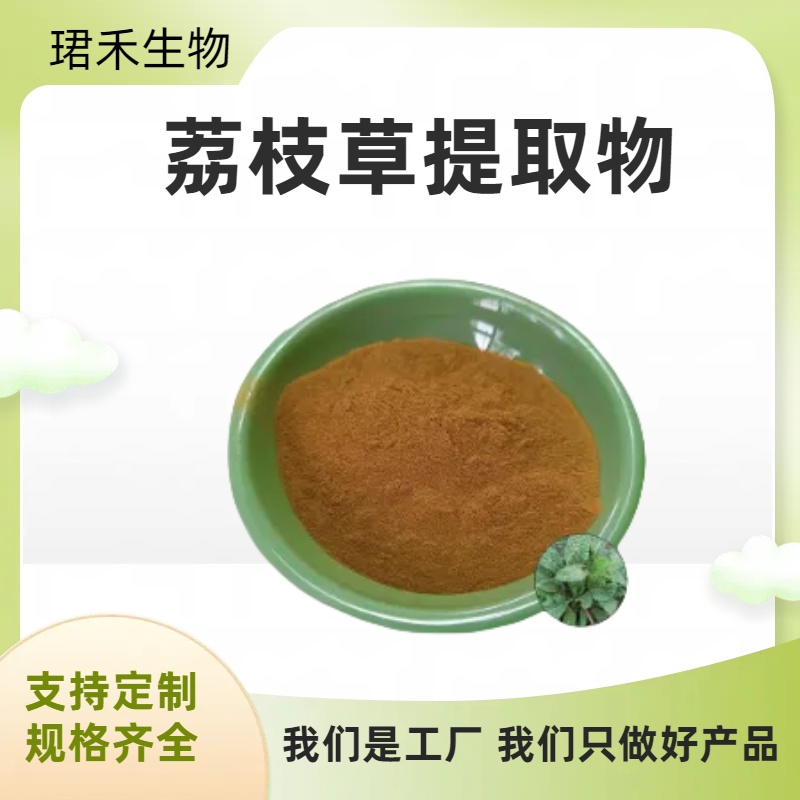 荔枝草提取物10:1 雪见草/癞蛤蟆草浓缩粉/浸膏 食品原料工厂 可定制