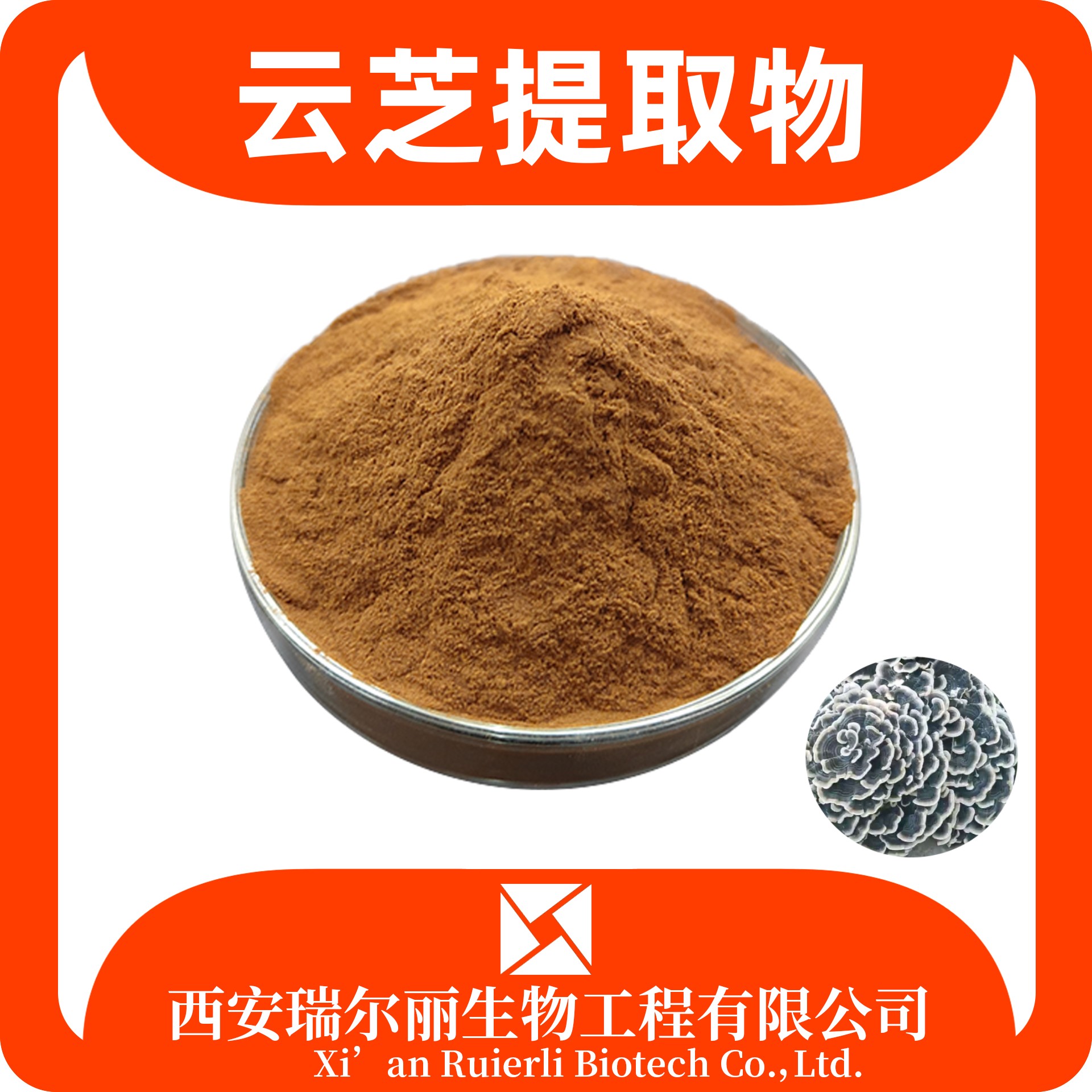 云芝提取物 云芝粉 速溶浓缩 食品级 SC证 免费拿样 现货速发