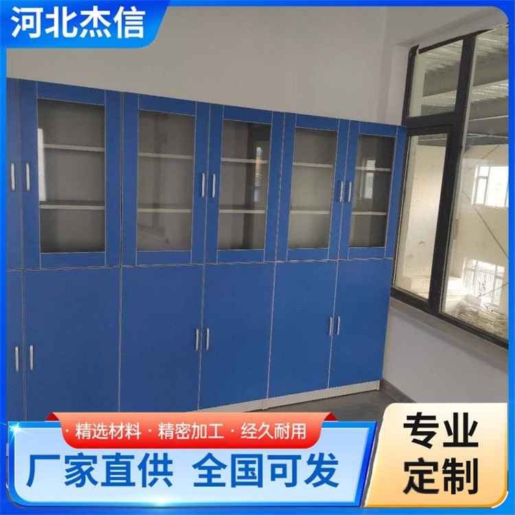 加工全木试剂柜 安全柜 实验室弱酸碱存储柜 类型齐全 品质保证