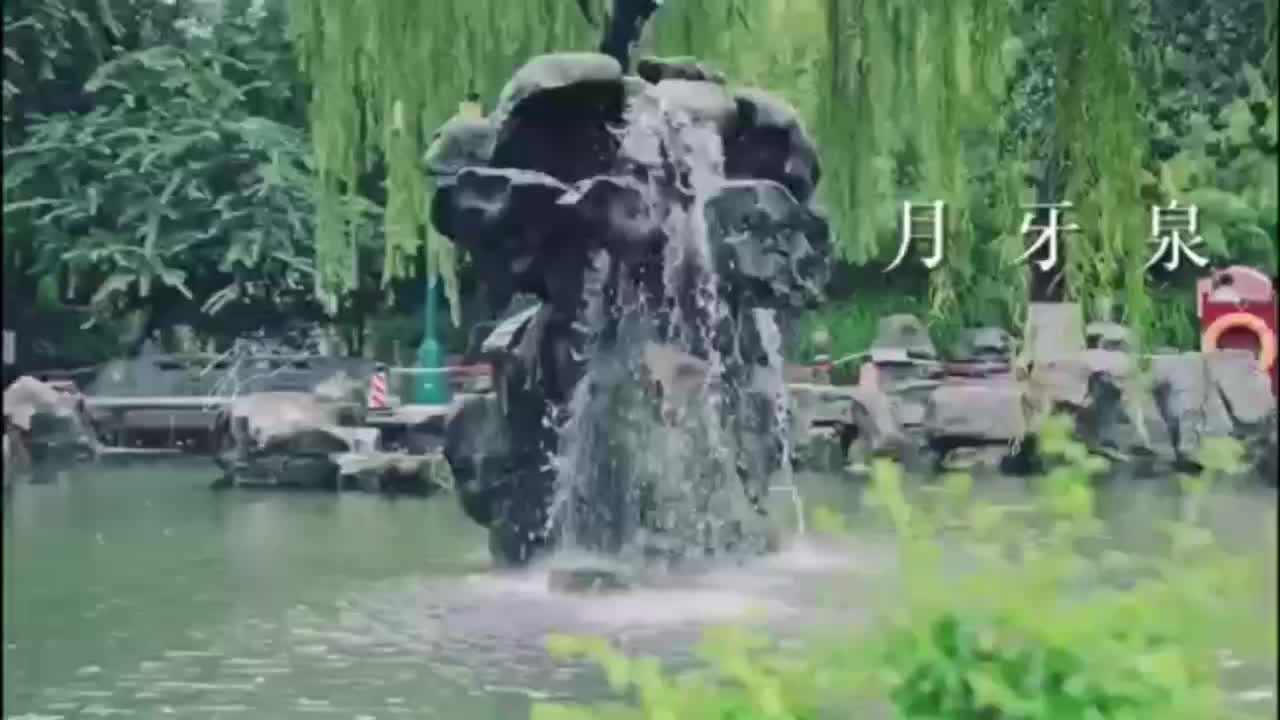 视频