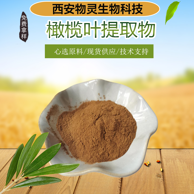 物灵 橄榄叶提取物 精选原料 橄榄叶粉 水提 精细粉末 流动性好 支持定制