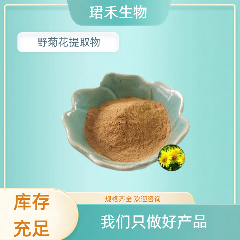 野菊花提取物10:1 水溶菊花粉 植物提取物 厂家供应 多规格可定制