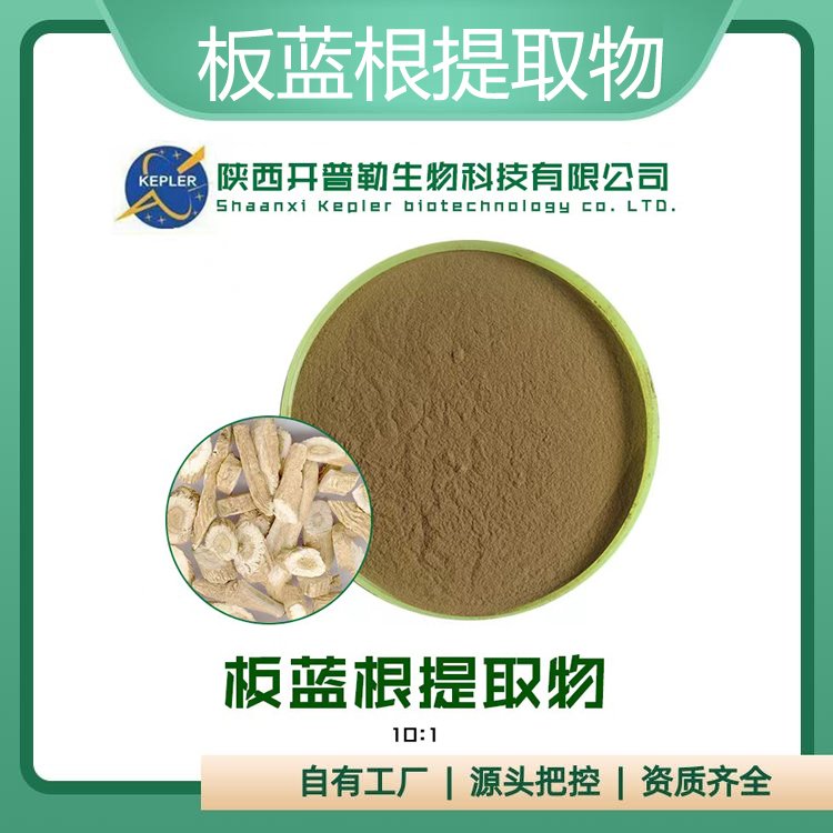 板蓝根提取物 板蓝根粉 板蓝根浓缩萃取 水溶性靛青根